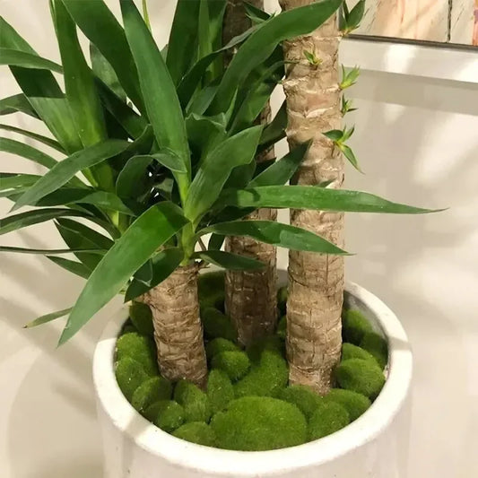 10PCS Artificial Moss Stones – Green Decorative Moss Balls for Home, Garden & Floral Arrangements