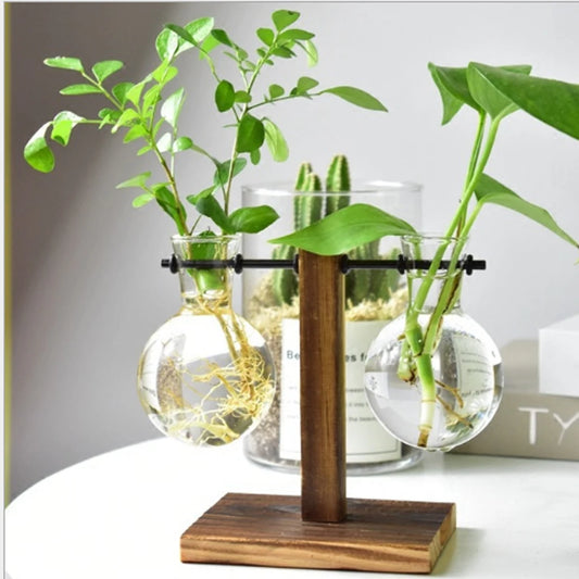 Glass Planter Bulb Vase with Wooden Stand – Desktop Hydroponic Plant Holder for Home & Office