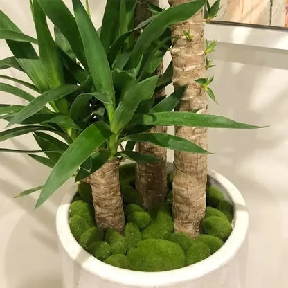 10PCS Artificial Moss Stones – Green Decorative Moss Balls for Home, Garden & Floral Arrangements