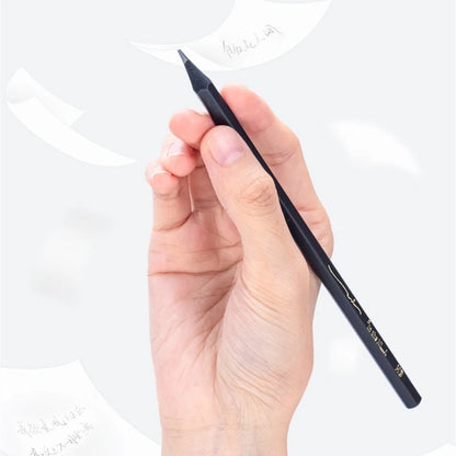 Black Wood Graphite Pencil Set – 10pcs HB & 2B Writing Pencils for School or Office Use