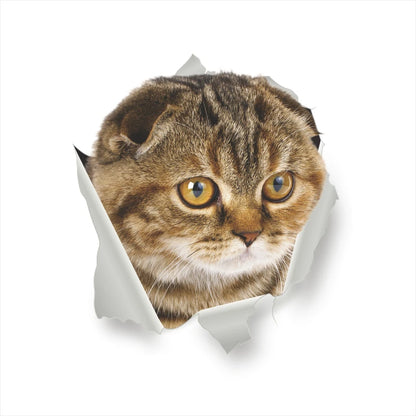 Funny 3D Hole Cat & Dog Toilet Stickers – Cute DIY Wall Decals for Bathroom & Home Decoration