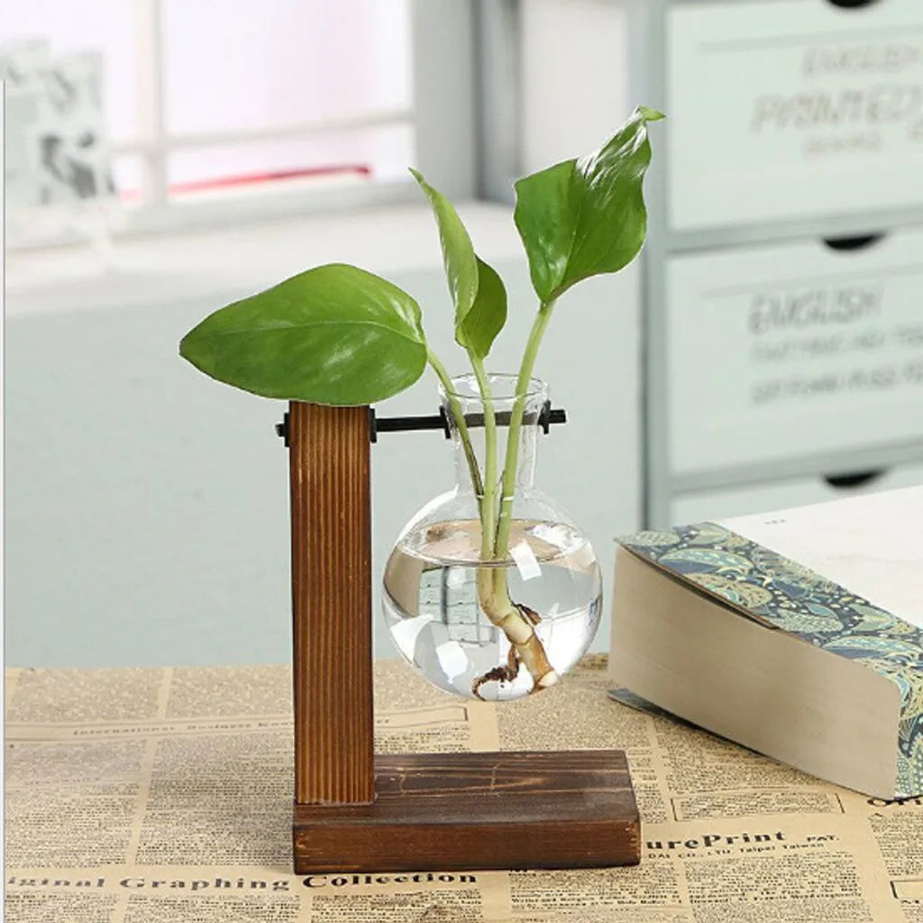 Glass Planter Bulb Vase with Wooden Stand – Desktop Hydroponic Plant Holder for Home & Office