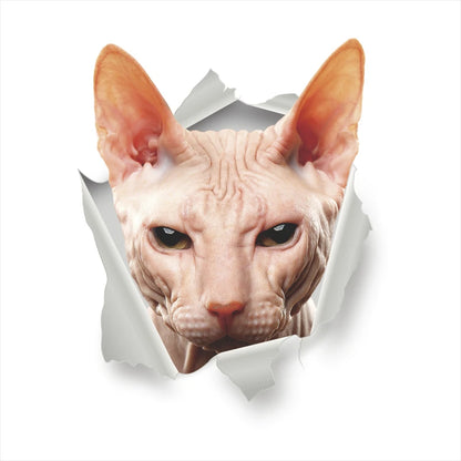 Funny 3D Hole Cat & Dog Toilet Stickers – Cute DIY Wall Decals for Bathroom & Home Decoration