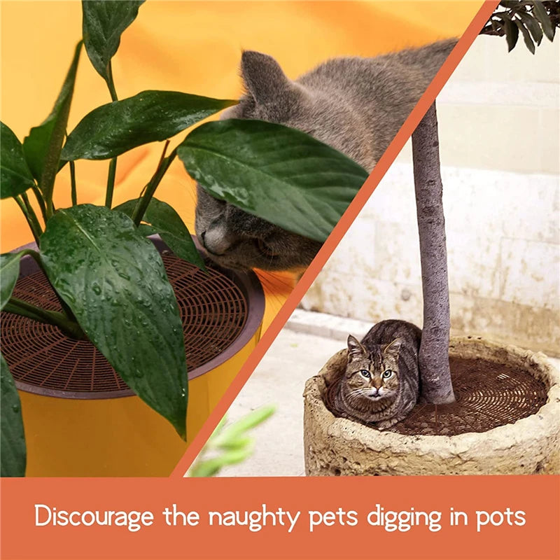 Plant Pot Soil Guard Grid – Plastic Cover with Nails to Prevent Pets & Soil Spillage