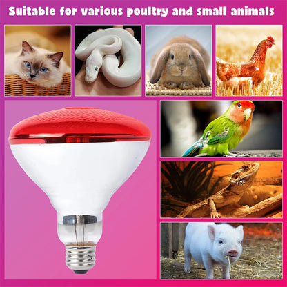 Infrared Heat Lamp for Livestock – E27 Bulb for Chickens, Reptiles & Farm Animals