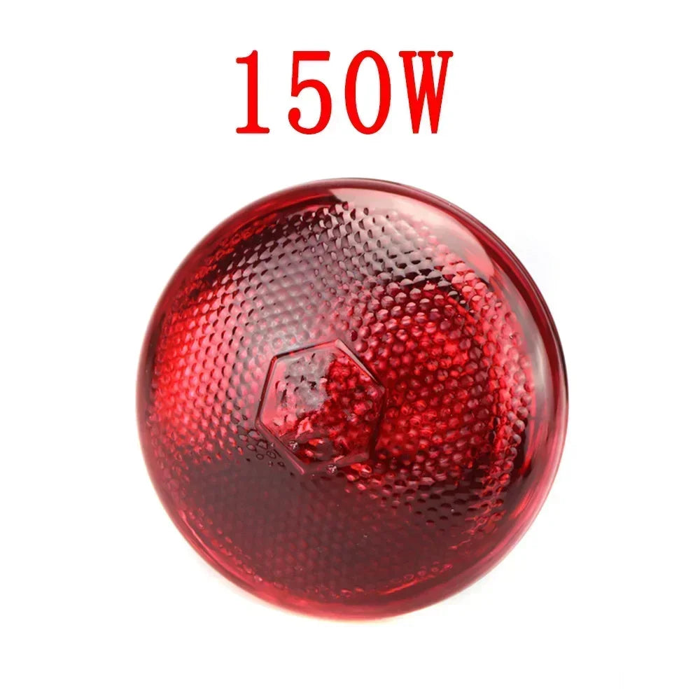 Infrared Heat Lamp for Livestock – E27 Bulb for Chickens, Reptiles & Farm Animals