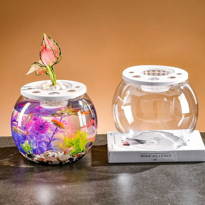 Tortoise Enclosure Transparent Plastic Fish Tank – Small Shatterproof Turtle Terrarium with Lid