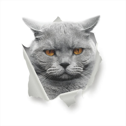 Funny 3D Hole Cat & Dog Toilet Stickers – Cute DIY Wall Decals for Bathroom & Home Decoration