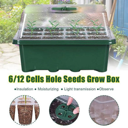 12-Hole Seed Starter Tray – Adjustable Germination Box with Ventilation Lid