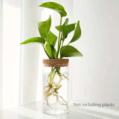 Glass Hydroponic Vase – Desktop Propagation Station for Home & Office Plants