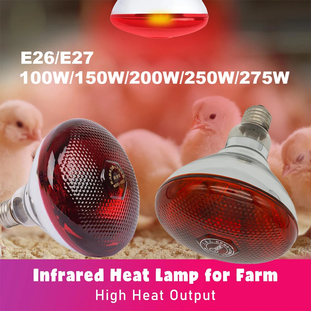 Infrared Heat Lamp for Livestock – E27 Bulb for Chickens, Reptiles & Farm Animals