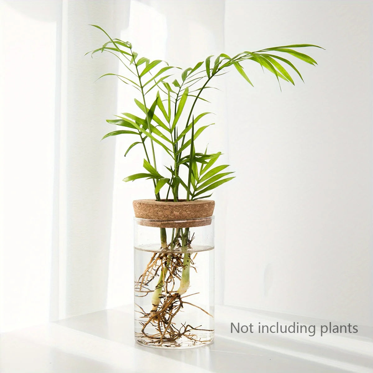 Glass Hydroponic Vase – Desktop Propagation Station for Home & Office Plants
