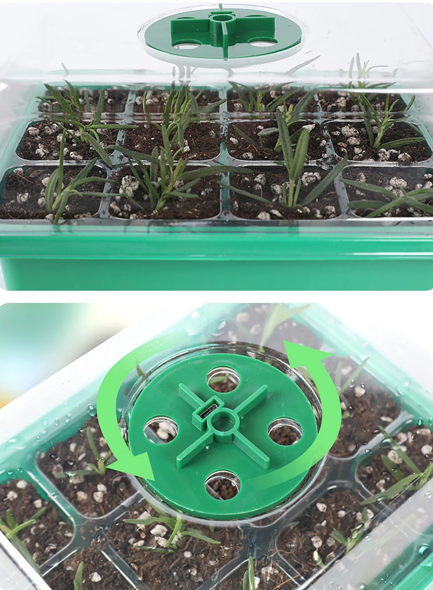 Seed Starter Tray Box with LED Grow Light – Adjustable Ventilation Nursery Pot for Seedling Germination & Indoor Gardening
