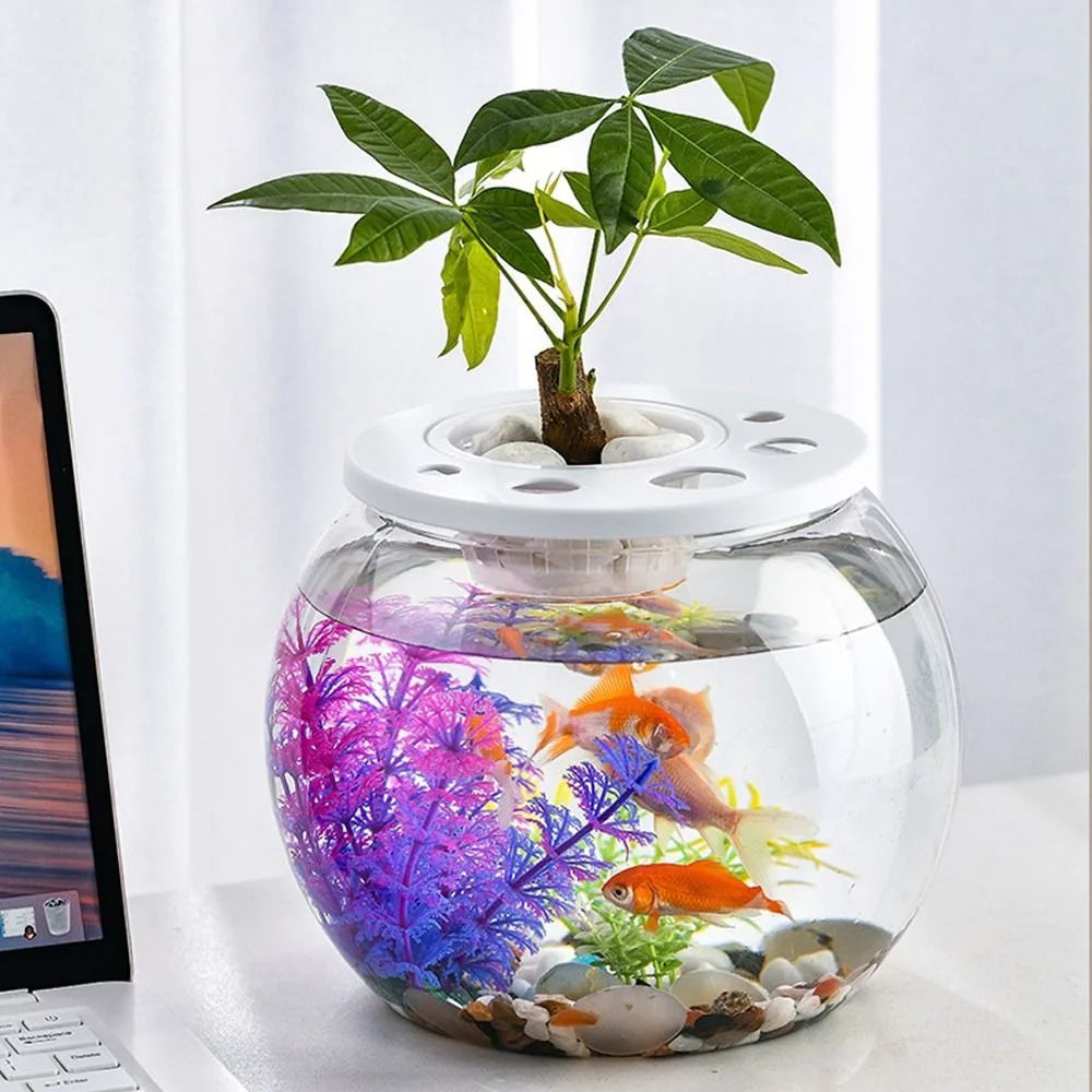 Tortoise Enclosure Transparent Plastic Fish Tank – Small Shatterproof Turtle Terrarium with Lid