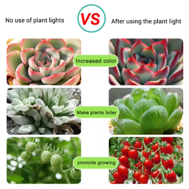 USB LED Full Spectrum Grow Light – Flexible Plant Lamp for Seedlings, Flowers, Hydroponics & Indoor Gardening