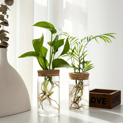 Glass Hydroponic Vase – Desktop Propagation Station for Home & Office Plants