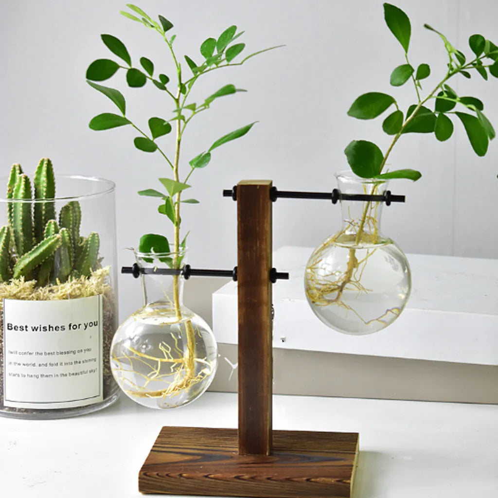 Glass Planter Bulb Vase with Wooden Stand – Desktop Hydroponic Plant Holder for Home & Office