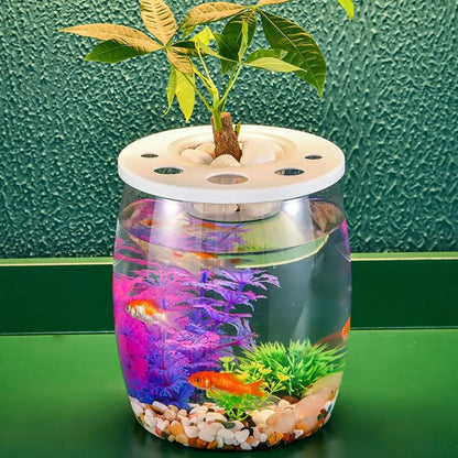 Tortoise Enclosure Transparent Plastic Fish Tank – Small Shatterproof Turtle Terrarium with Lid