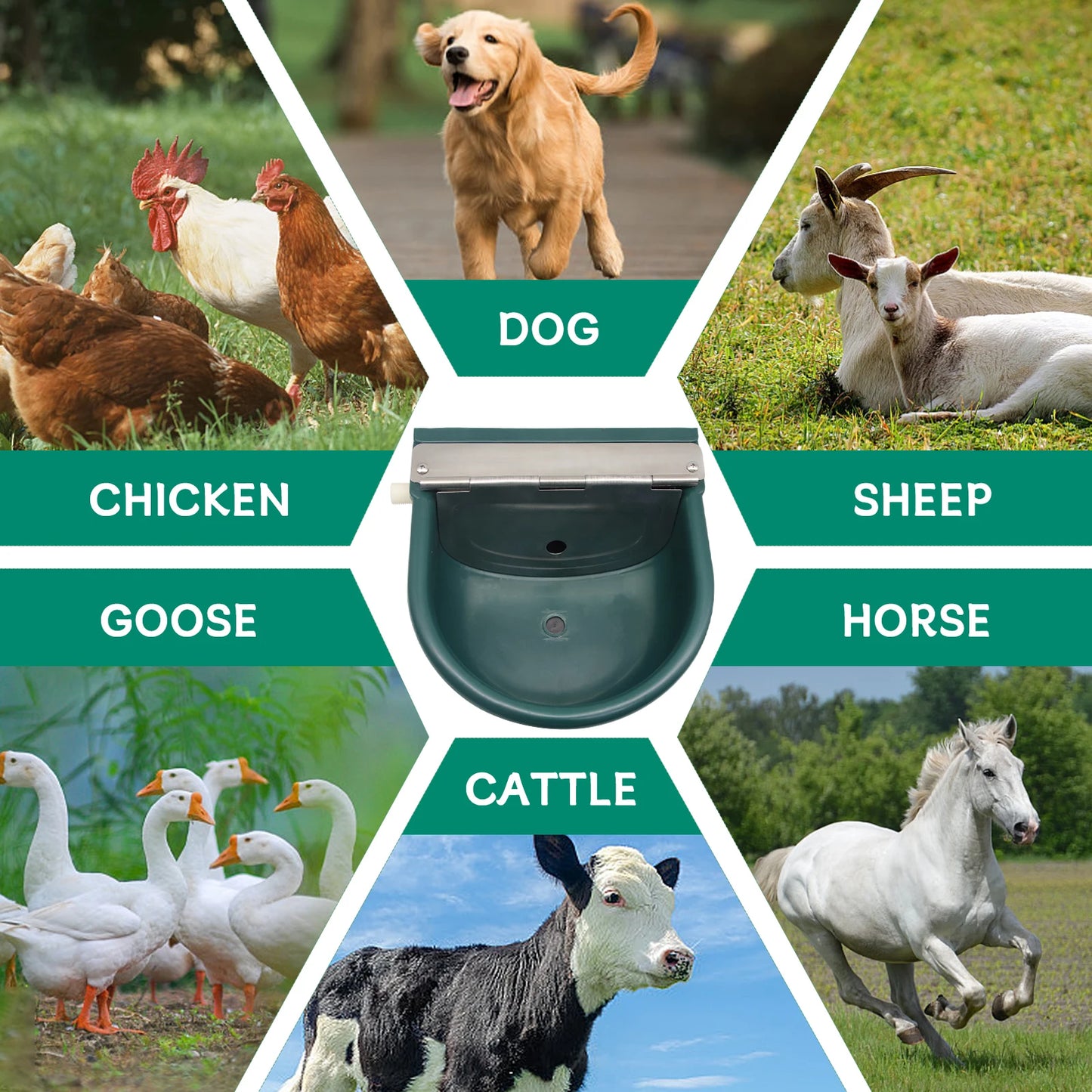 Automatic Livestock Water Bowl – Durable Farm Animal Waterer for Cows, Goats & Sheep