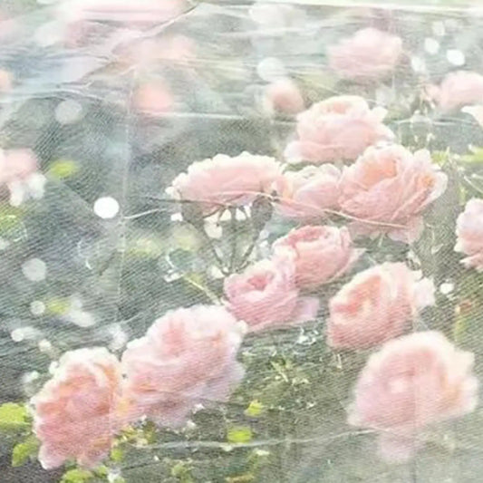 Large Fruits Tree Netting Cover with Drawstring Garden Insect Netting Transparent Anti-Bird Plant Barrier Mesh Screen