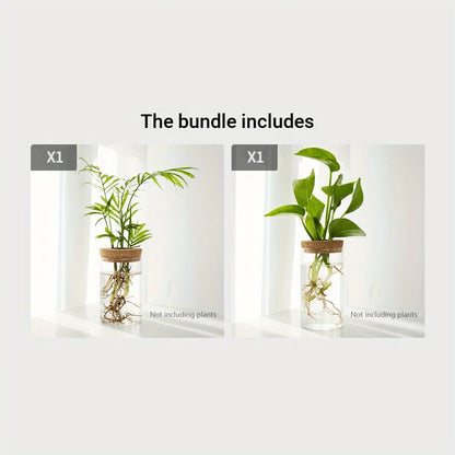 Glass Hydroponic Vase – Desktop Propagation Station for Home & Office Plants
