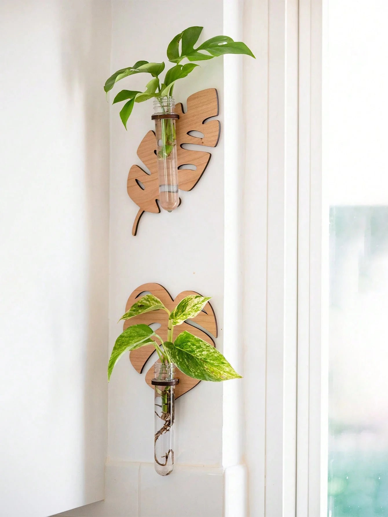 1/2 Pcs Leaf Shape Wall Planters Wooden Wall Hanging Plant Pots with Test Tube Vase Indoor Propagation Station Home Garden Decor
