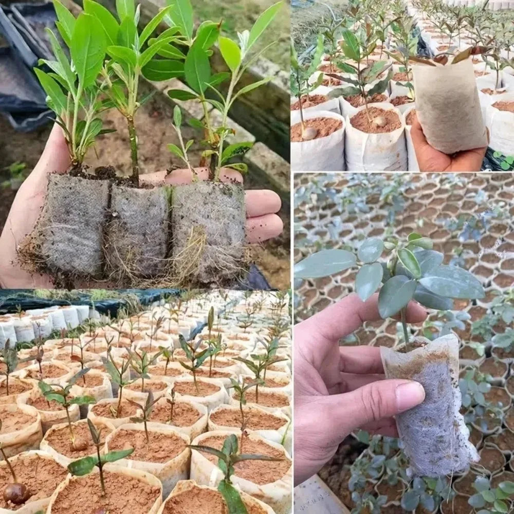 100pcs Nonwoven Seedling Plants Nursery Bags,Fabric Planting Pots,Garden Eco-Friendly Ventilate Growing Bags,Garden Planting