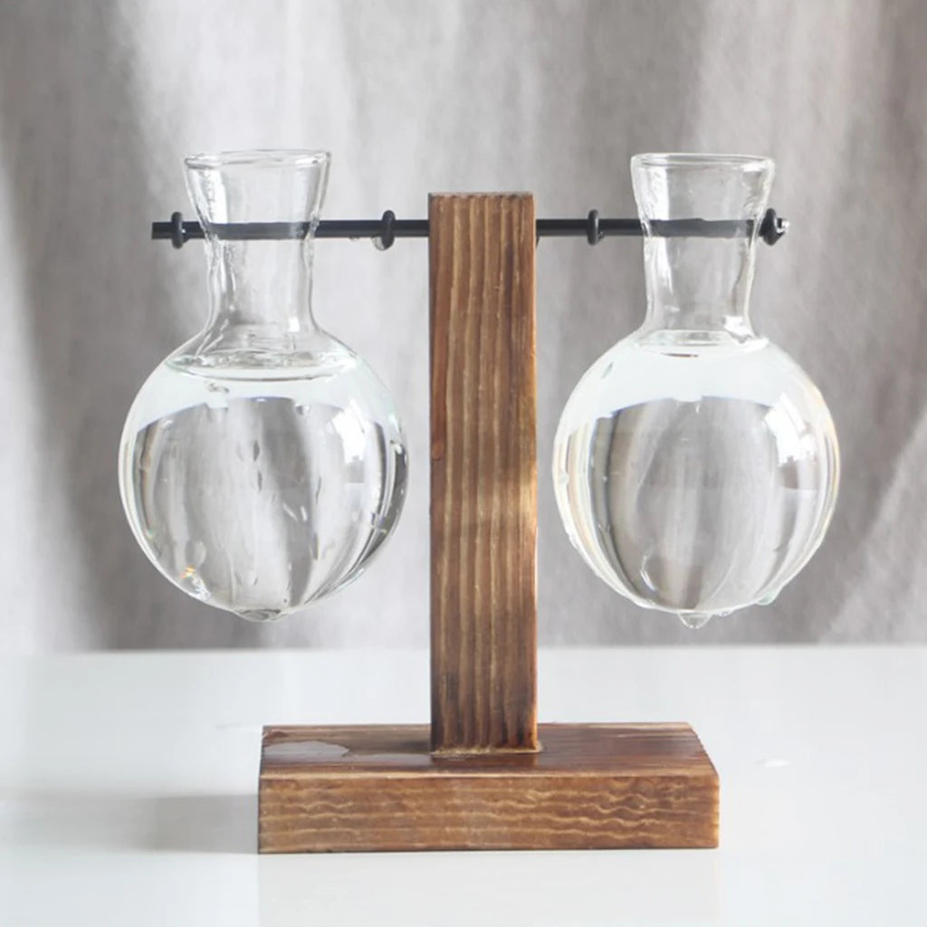 Glass Planter Bulb Vase with Wooden Stand – Desktop Hydroponic Plant Holder for Home & Office