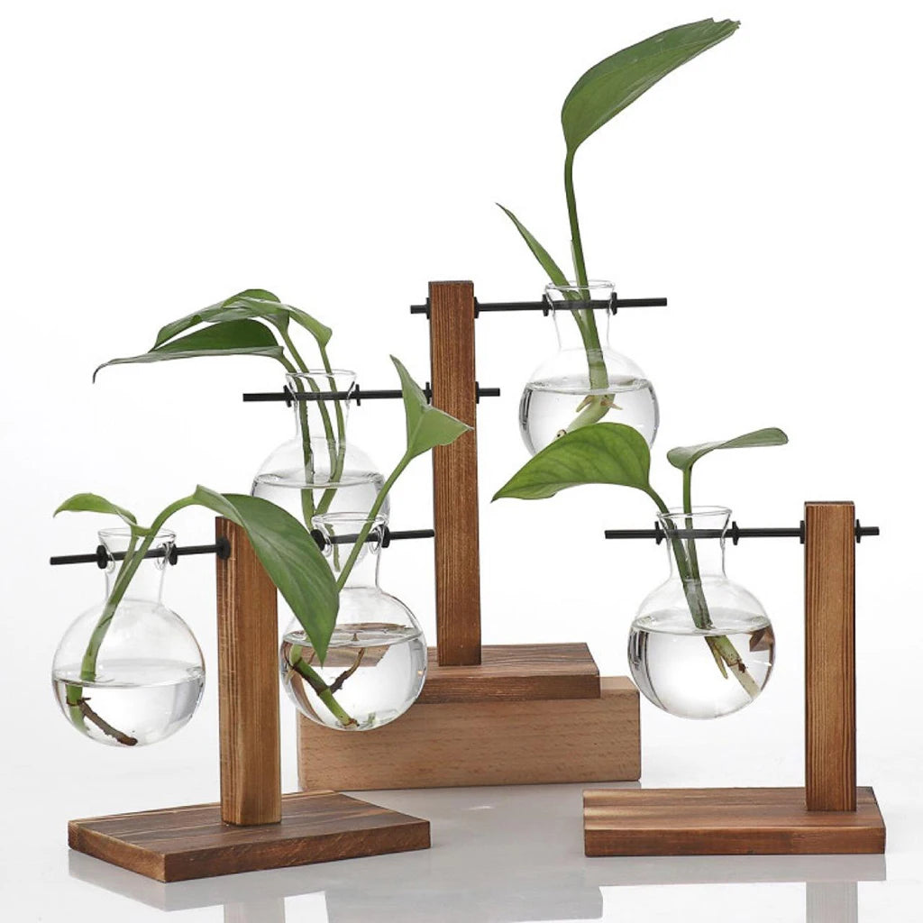 Glass Planter Bulb Vase with Wooden Stand – Desktop Hydroponic Plant Holder for Home & Office