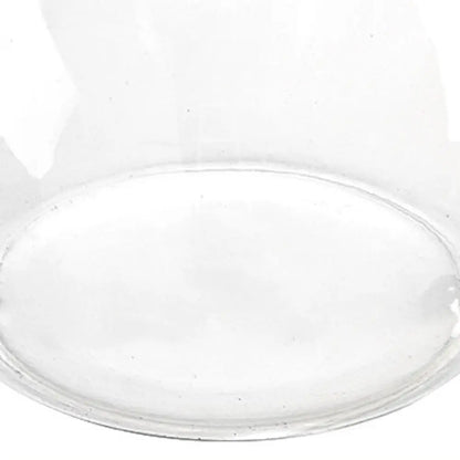 Tortoise Enclosure Transparent Plastic Fish Tank – Small Shatterproof Turtle Terrarium with Lid