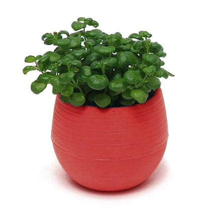 Mini Resin Succulent Pot – 2-Layer Drain Hole Planter for Desk & Garden Decor