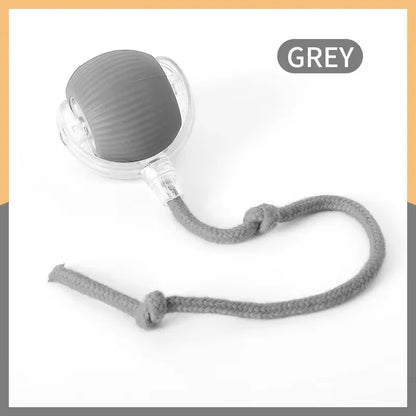 Hot cat toys are automatically teasing cat balls and self-exciting cat sticks and ticks and resistant to wear and bite pet toys