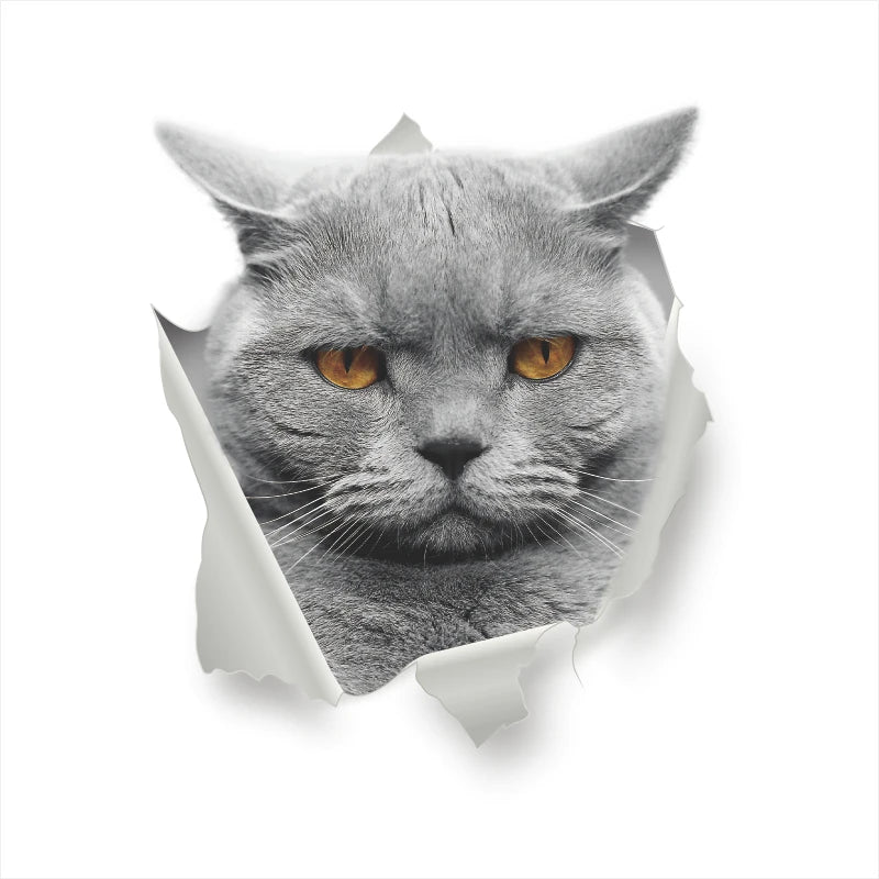 Funny 3D Hole Cat & Dog Toilet Stickers – Cute DIY Wall Decals for Bathroom & Home Decoration