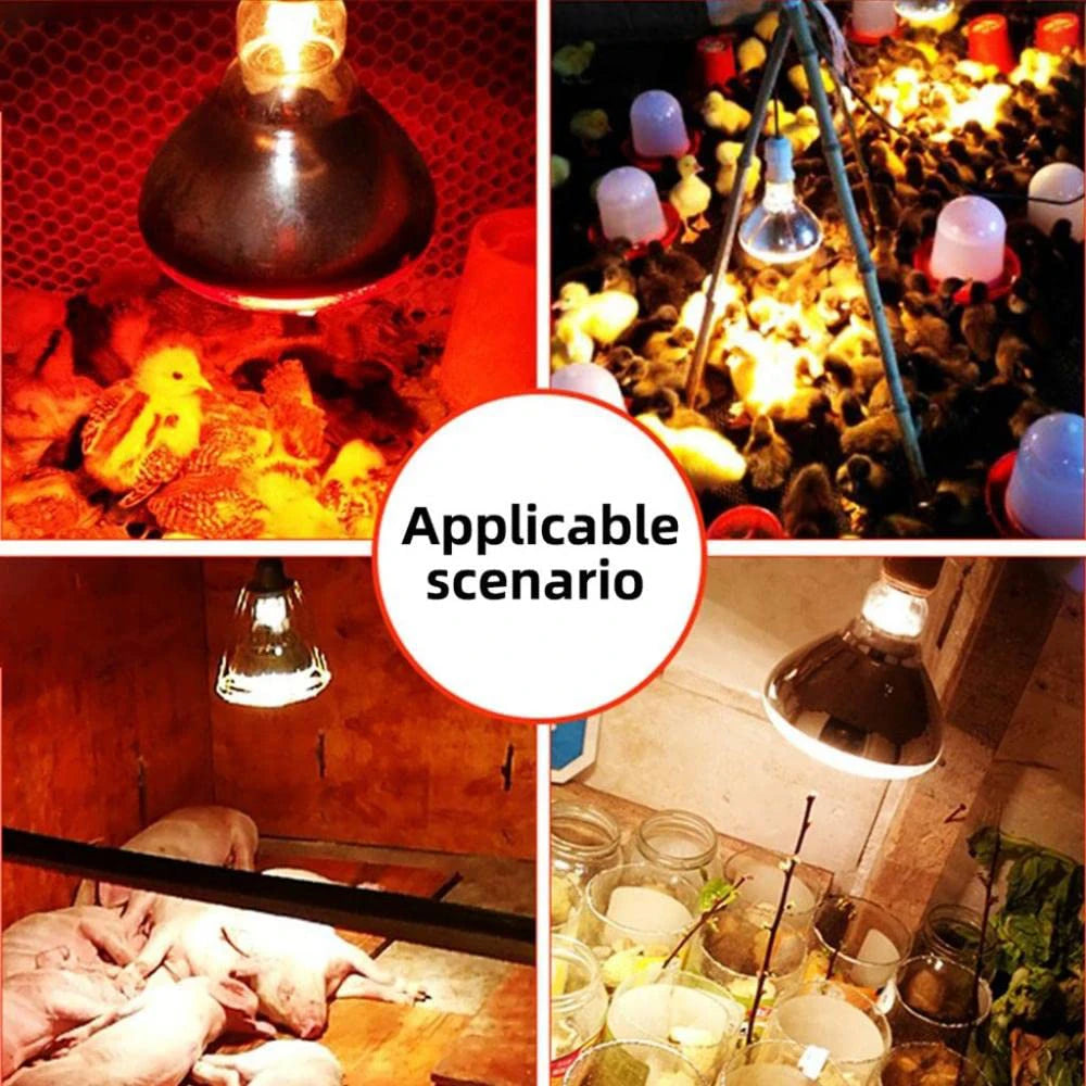 Infrared Heat Lamp for Livestock – E27 Bulb for Chickens, Reptiles & Farm Animals