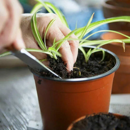 75PCS Plastic Nursery Pots – 4” Plant Containers for Seedlings, Succulents & Garden Transplants