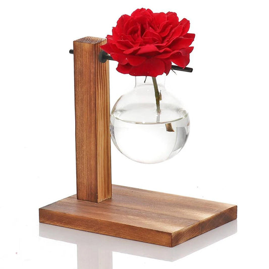 Glass Planter Bulb Vase with Wooden Stand – Desktop Hydroponic Plant Holder for Home & Office