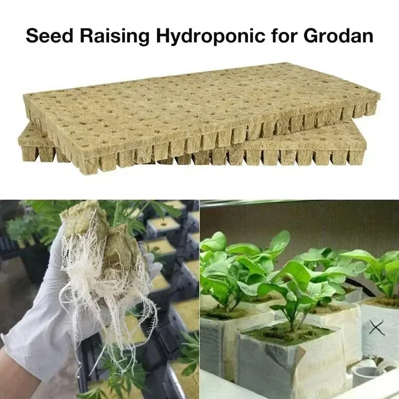 50pcs 25x25x25mm Stonewool Hydroponic Grow Media Cubes – Soilless Rockwool Seedling Blocks for Plant Propagation