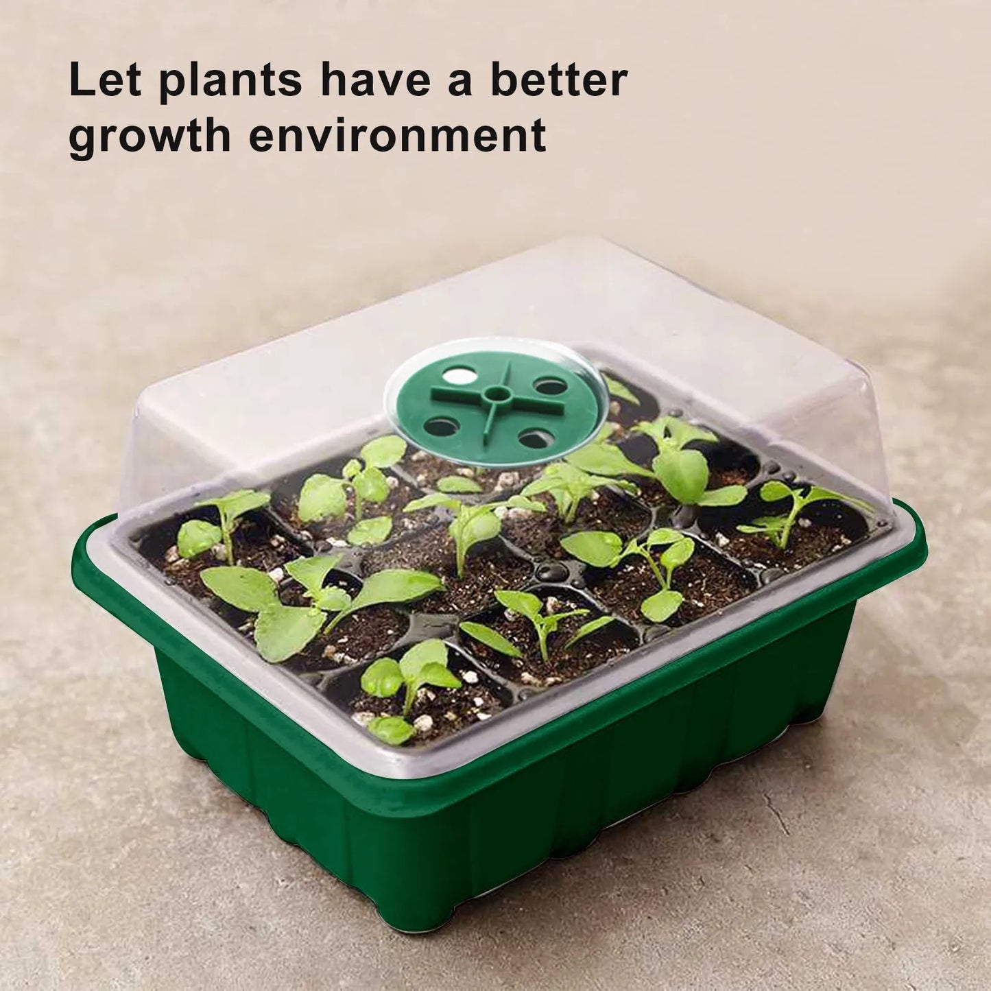 12-Hole Seed Starter Tray – Adjustable Germination Box with Ventilation Lid