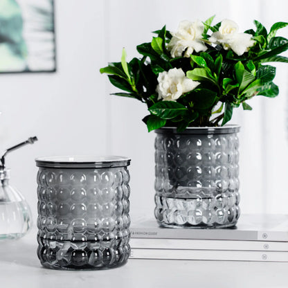 Mini Self Watering Flower Pot Fish Tank Transparent Plastic Plant Pots Self Watering Planter Pot Vase For Home Decoration