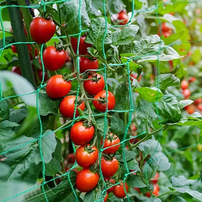 Heavy-Duty Garden Trellis Netting – Polyester Climbing Plant Support with Square Mesh for Vegetables, Vines & Flowers
