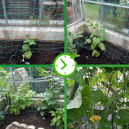 Heavy-Duty Garden Trellis Netting – Polyester Climbing Plant Support with Square Mesh for Vegetables, Vines & Flowers