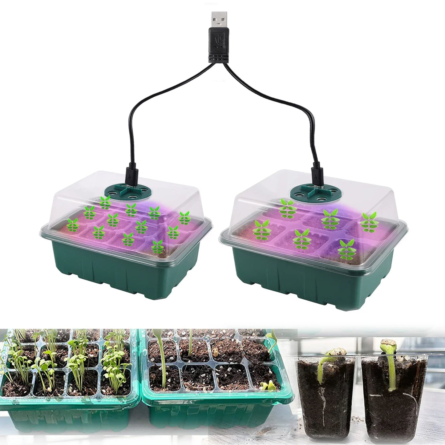 Seed Starter Tray Box with LED Grow Light – Adjustable Ventilation Nursery Pot for Seedling Germination & Indoor Gardening