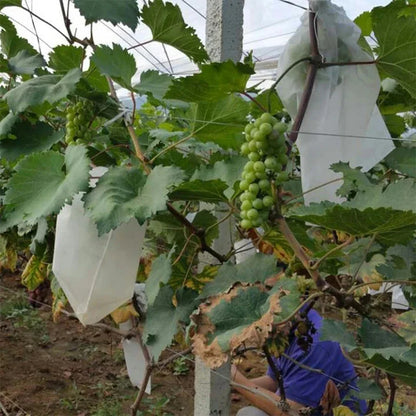 100pcs Garden Strawberry Grapes Fruit Protection Bags Cover Plant Nursery Bag Pest Control Anti-Bird Mesh Bag Gardening Protect