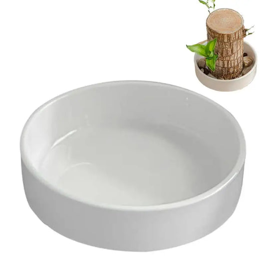 Brazilian Wood Decorative Tray – Elegant Hydroponic Plant Plate for Desk & Display