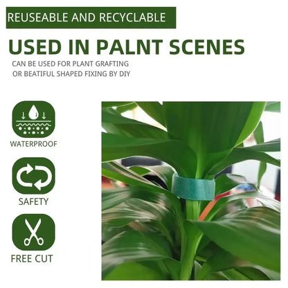 Green Garden Plant Ties – 3 Rolls of Reusable Nylon Hook & Loop Twine for Plant Support and Cable Organization