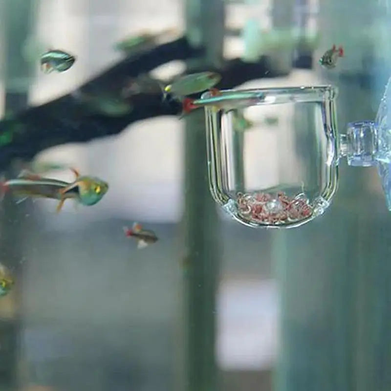 Acrylic Aquarium Plant Cup with Suction – Transparent Aquatic Planting Pot for Fish Tanks