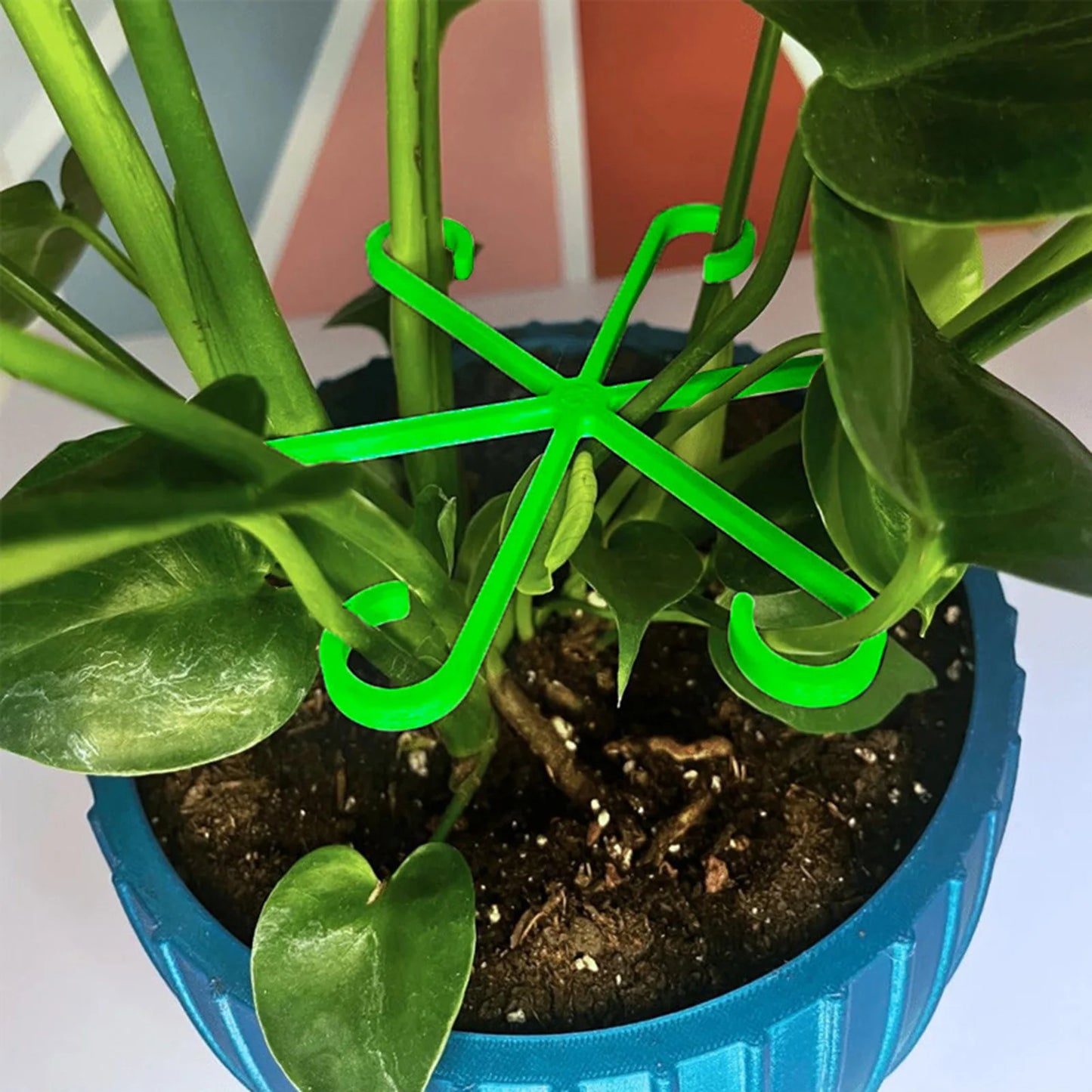 4Pcs Plastic Plant Trellis Set – Indoor & Outdoor Stem Support for Climbing Vines